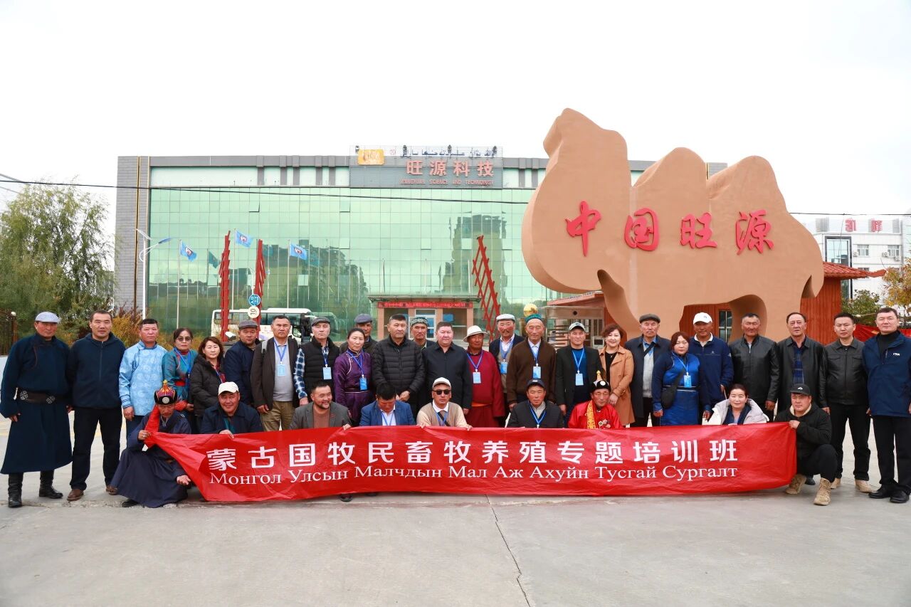 中蒙骆驼产业交流再深化，共绘区域特色发展新蓝图！