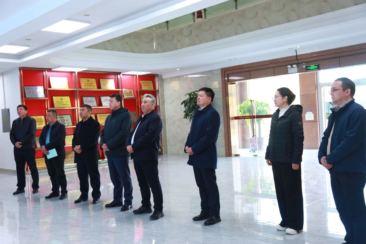 聚焦骆驼产业，共探高质量发展新路径！